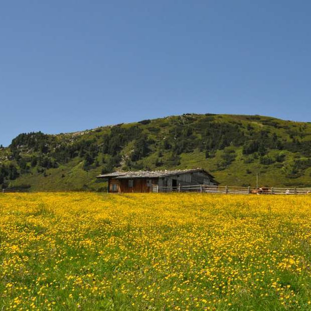 felthunerhof-funes-alto-adige (35)