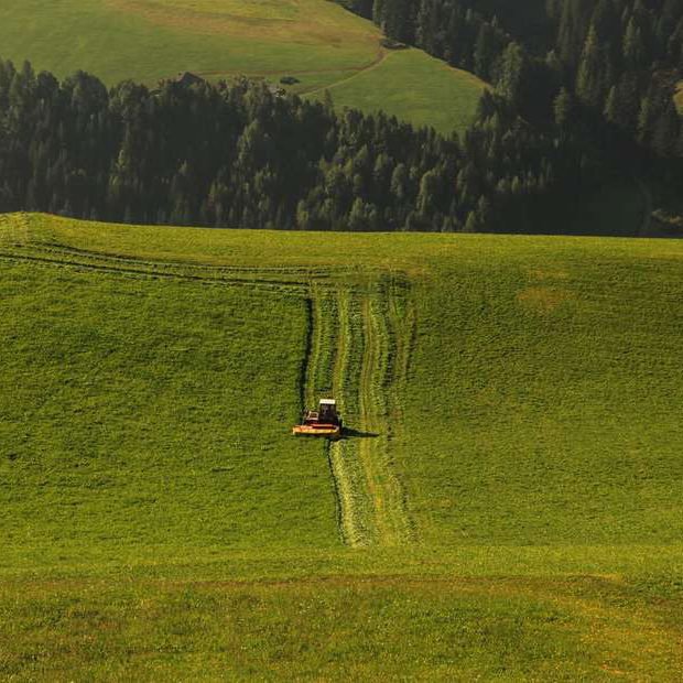 felthunerhof-villnoess-suedtirol (4)