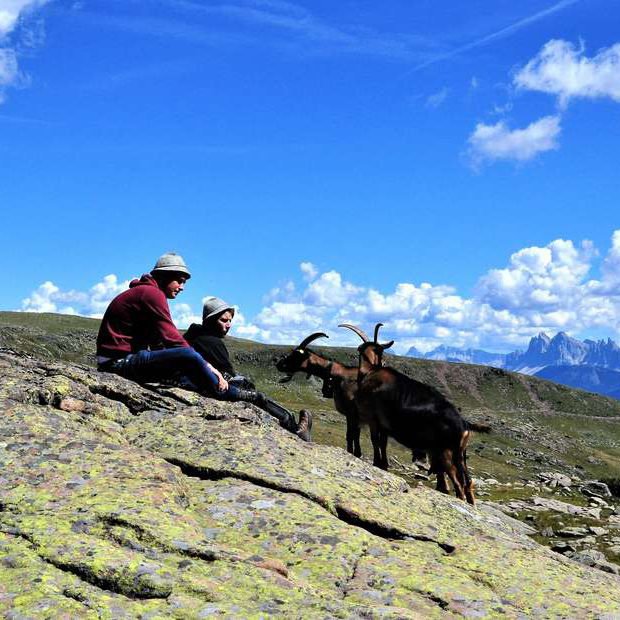 felthunerhof-villnoess-suedtirol (59)