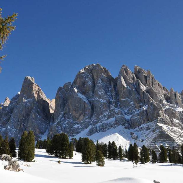 felthunerhof-villnoess-suedtirol (68)