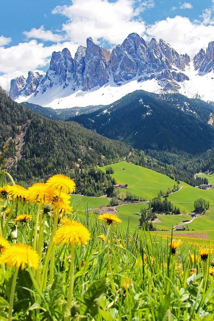Frühling