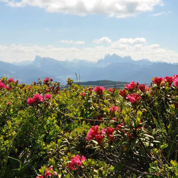 Urlaub im Villnösstal 7