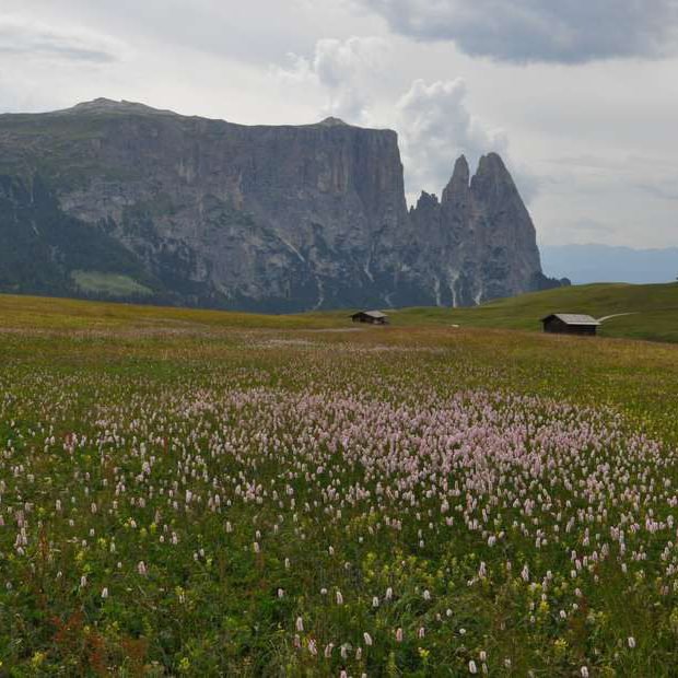 vacanze-in-val-di-funes-vacanze-nelle-dolomiti-09