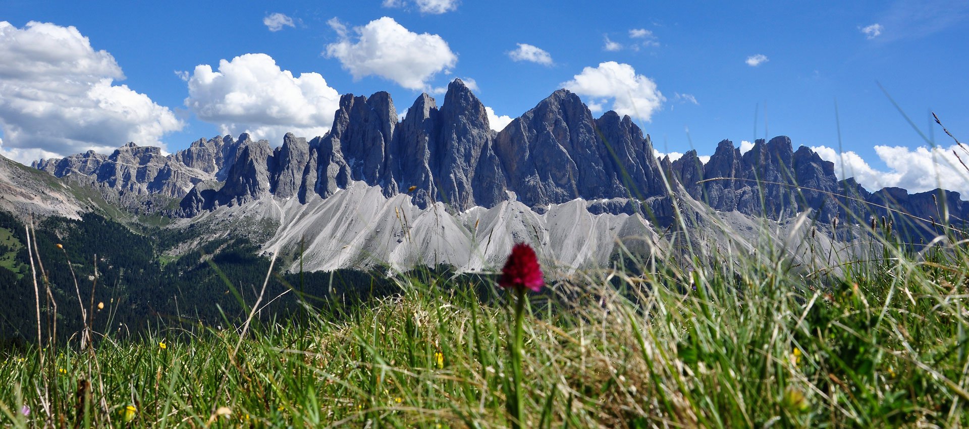 wandern-klettern-sommerurlaub-villnoesstal