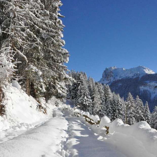 vacanze-invernali-nelle-dolomiti-05